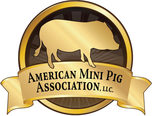 American Mini Pig Association